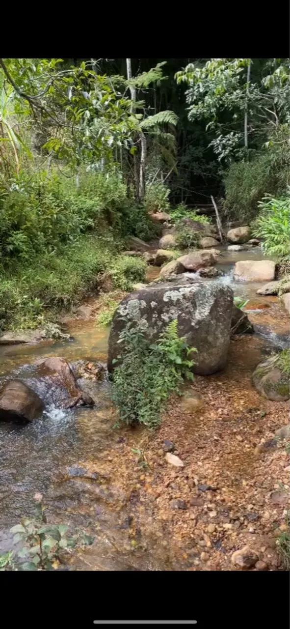 Fazendinha com muita água.