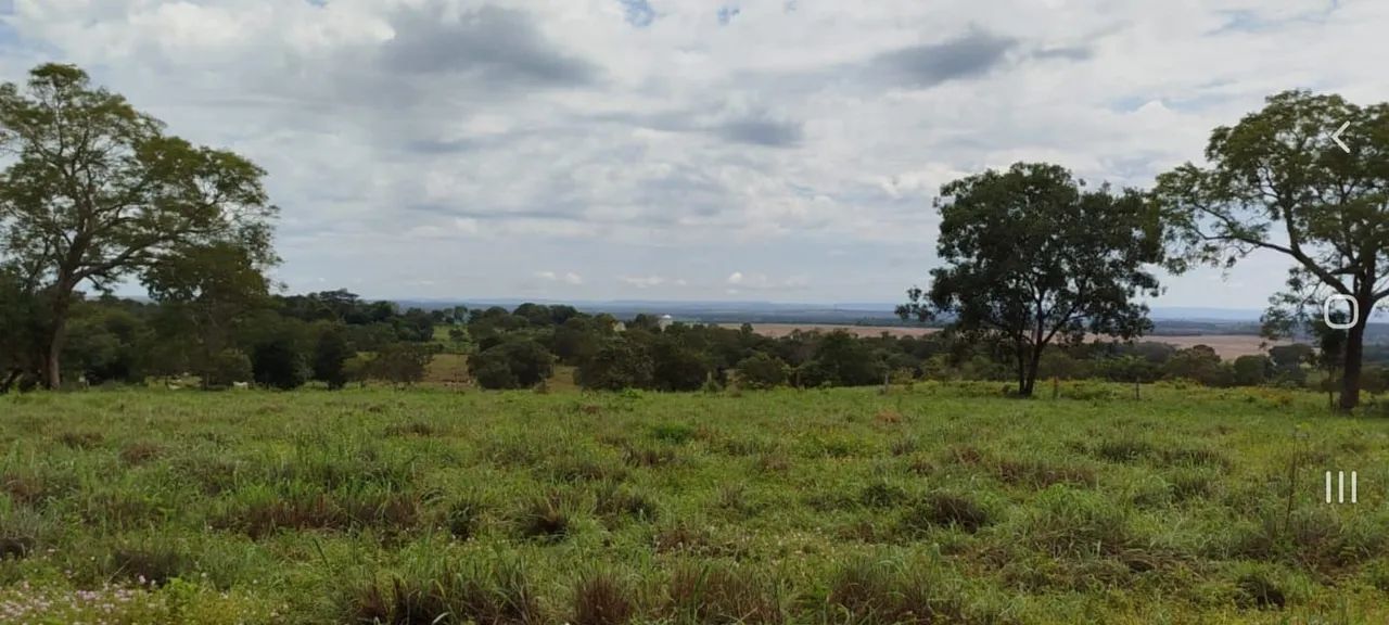 Fazenda entre Palmas to e Barrolândia to - Foto 13