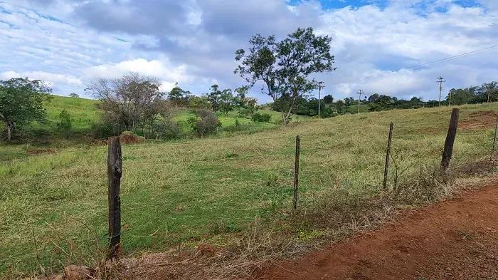 ÁREA PARA LOTEAMENTO - Cornélio Procópio - Foto 2