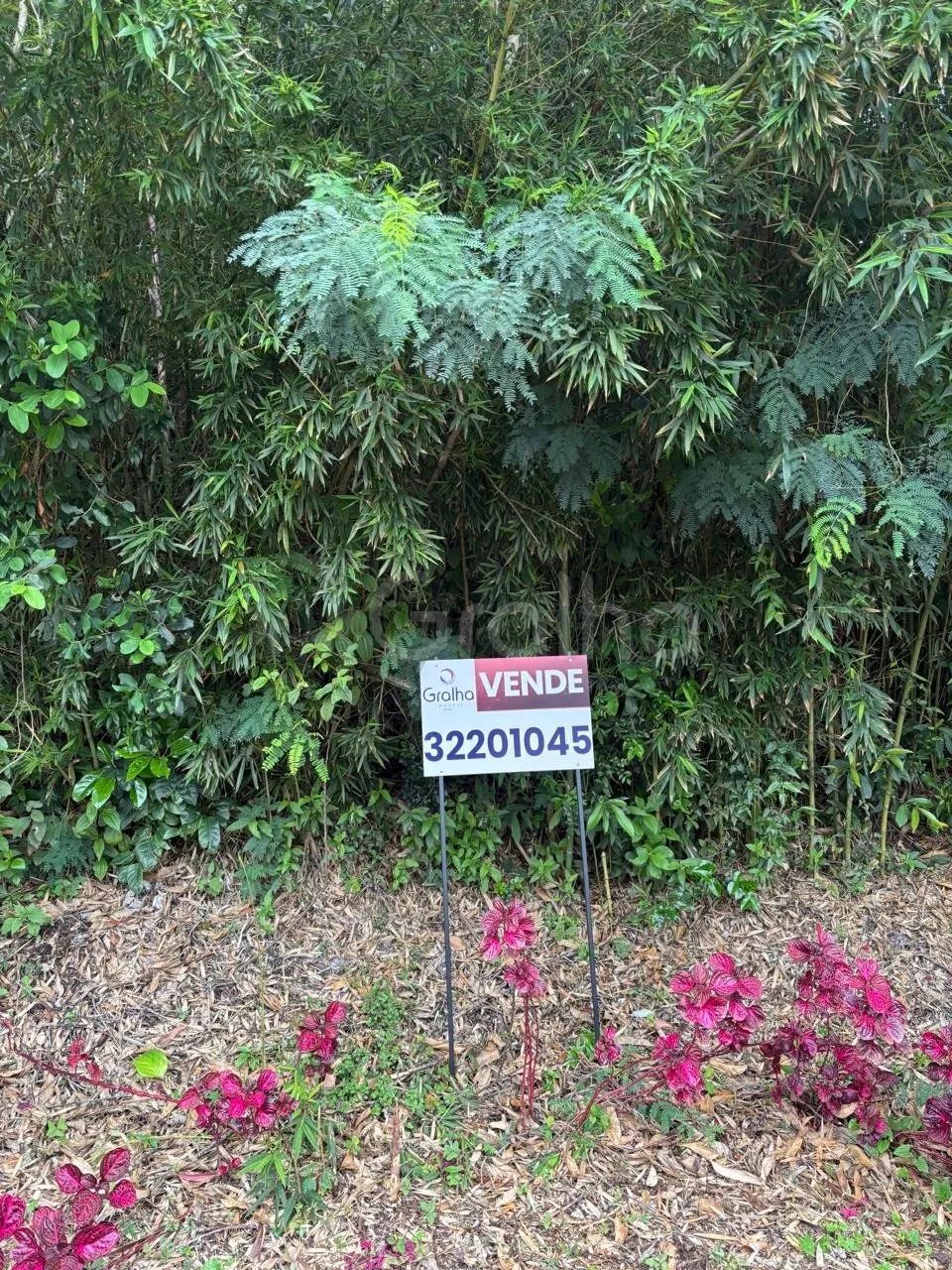 Terreno de 417m² na Trindade - Foto 4