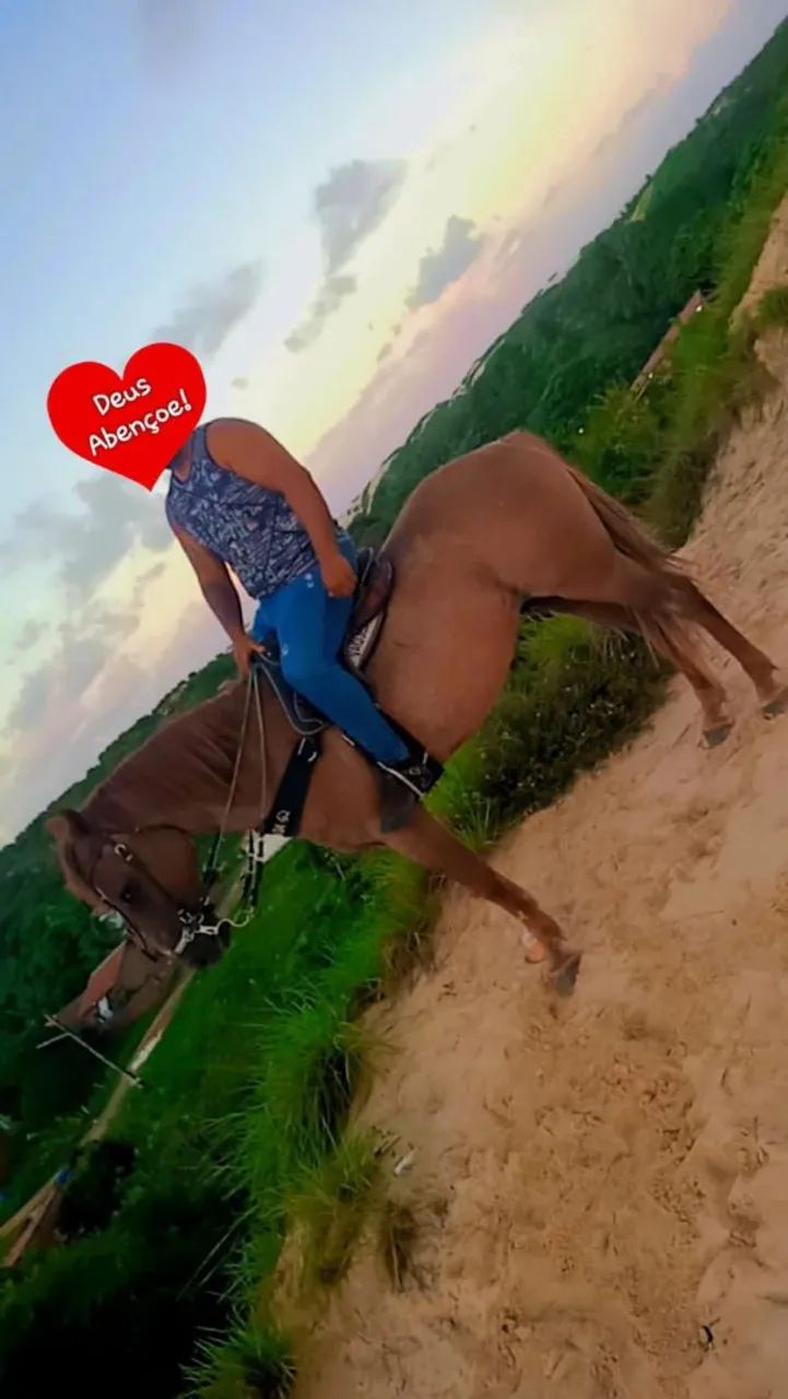 Cavalo de direita  - Foto 3