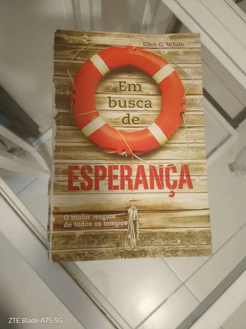 Livro em Busca de esperança de Ellen G White