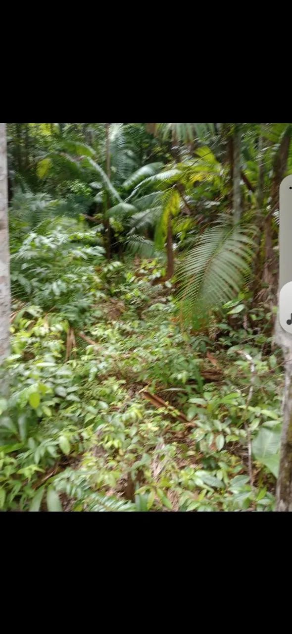 Vender por motivo de doença  - Foto 5