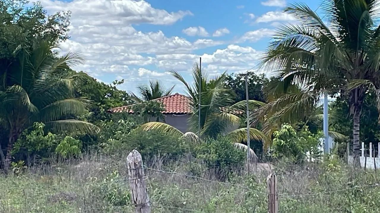 Ribeira do pombal  - Foto 4