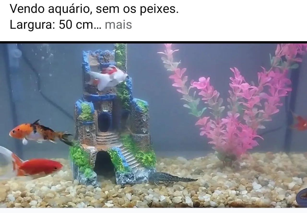 Vendo aquário 