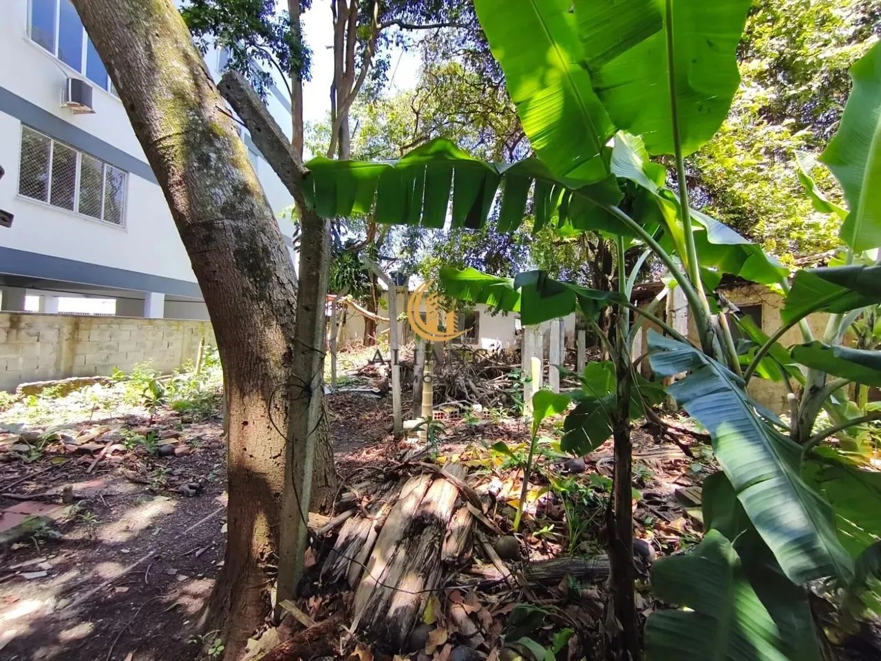 Terreno em Jardim Atlântico, Florianópolis/SC - Foto 4
