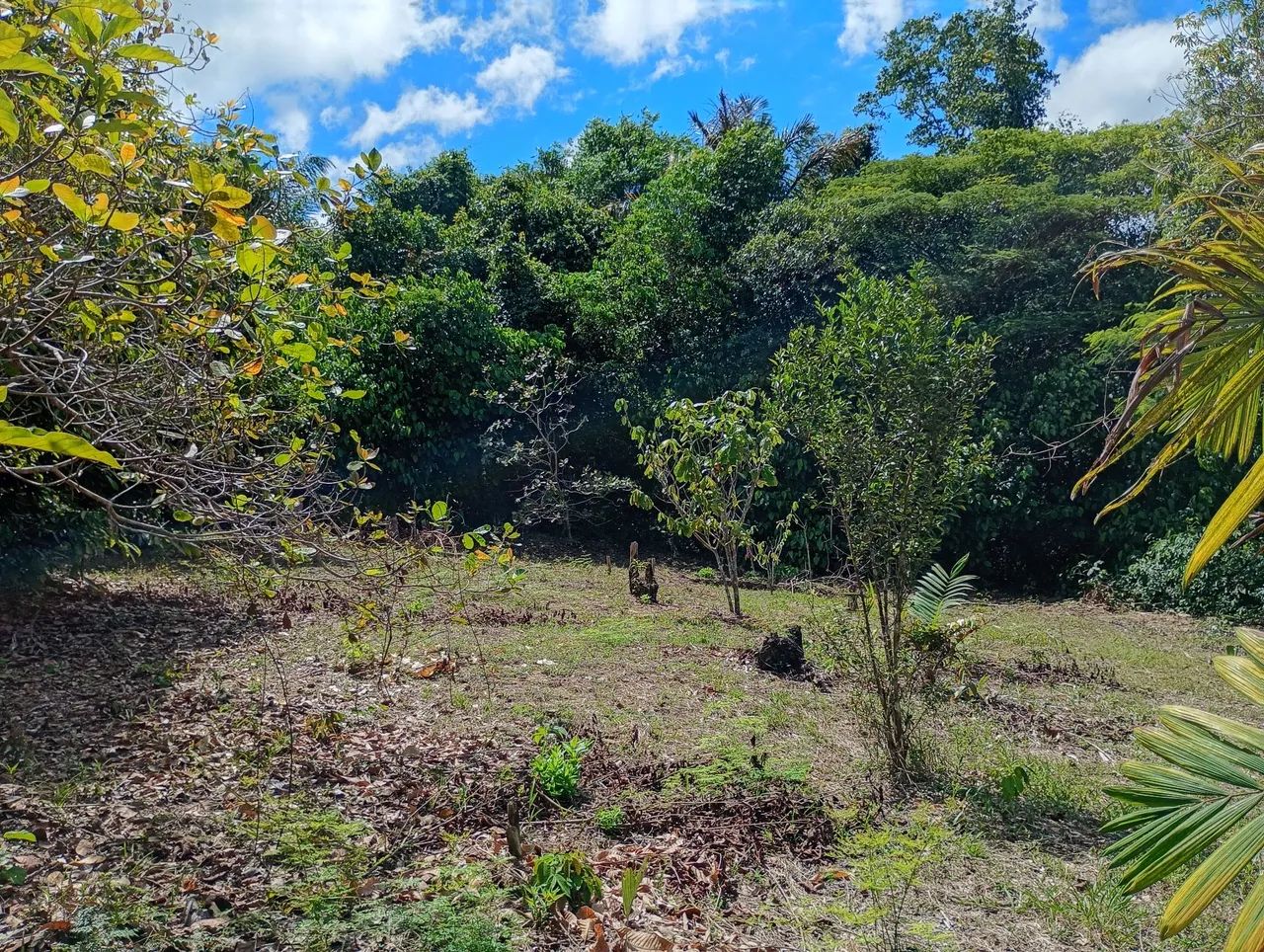 Tamanho 100 x200 - Foto 4