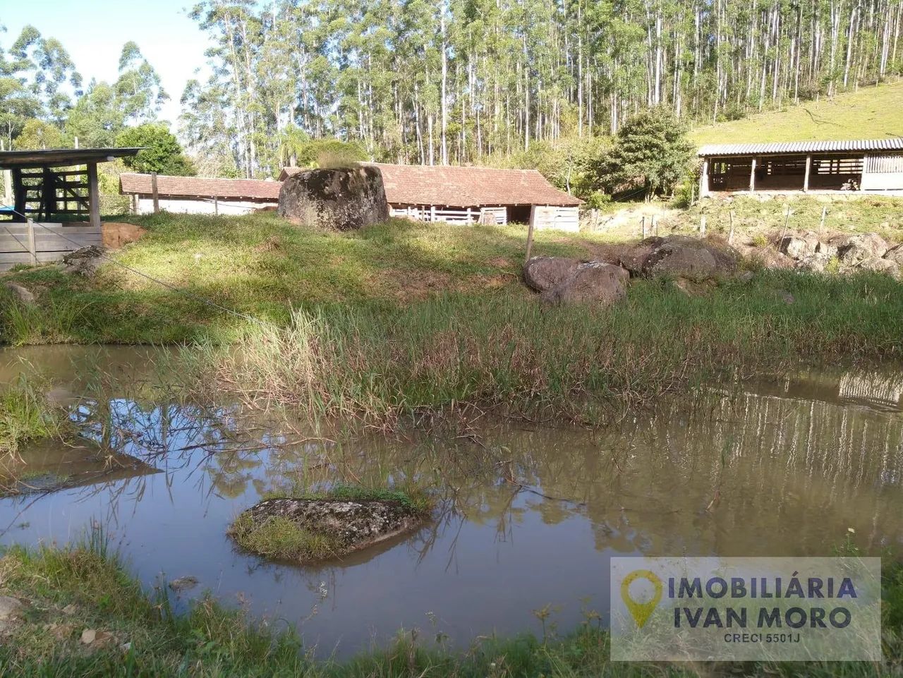 Sítio à venda em São Bonifácio - SC - Foto 2