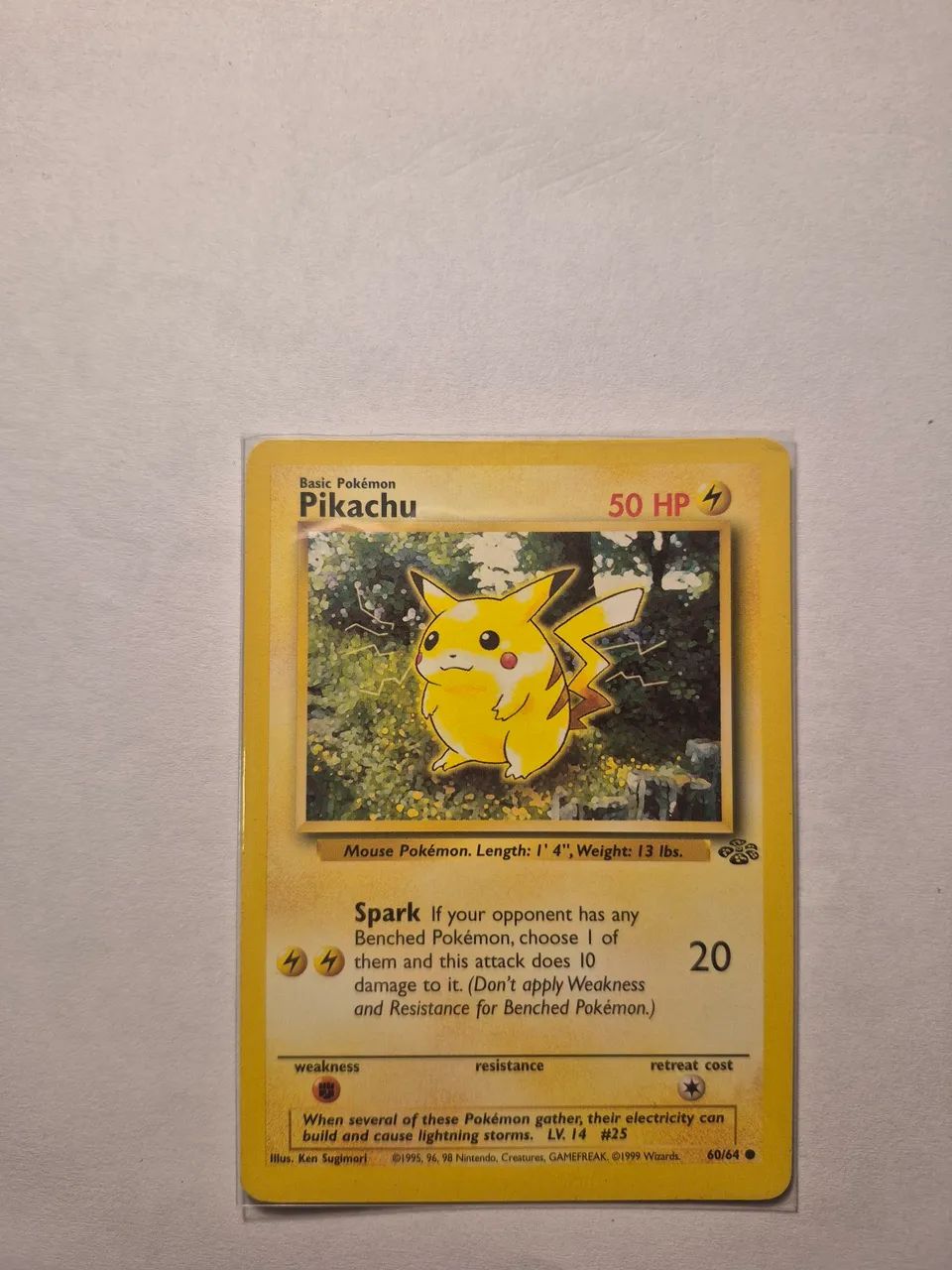 Pikachu Jungle Set(1999)NM