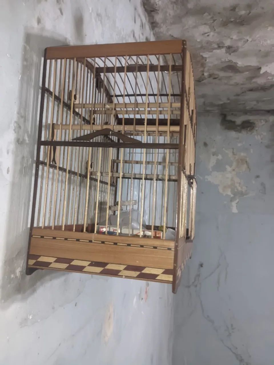 Gaiola pra coleiro aceito ofertas  - Foto 5
