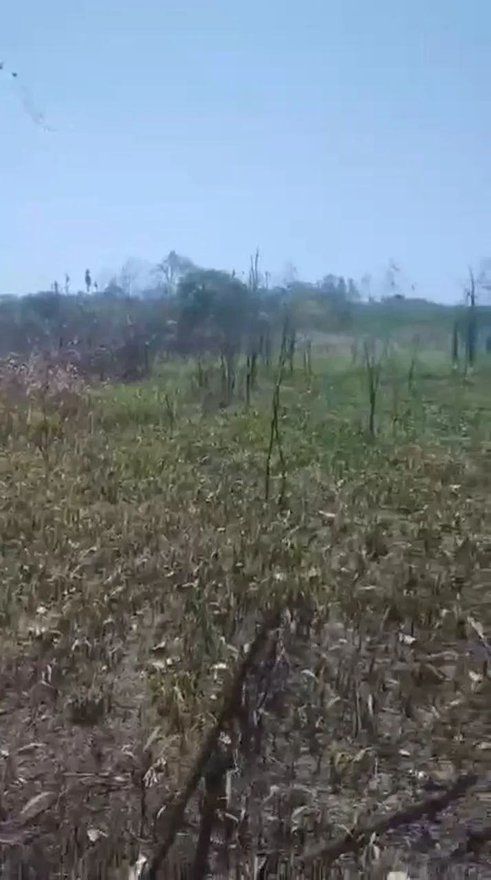 Terreno a Venda - Foto 2