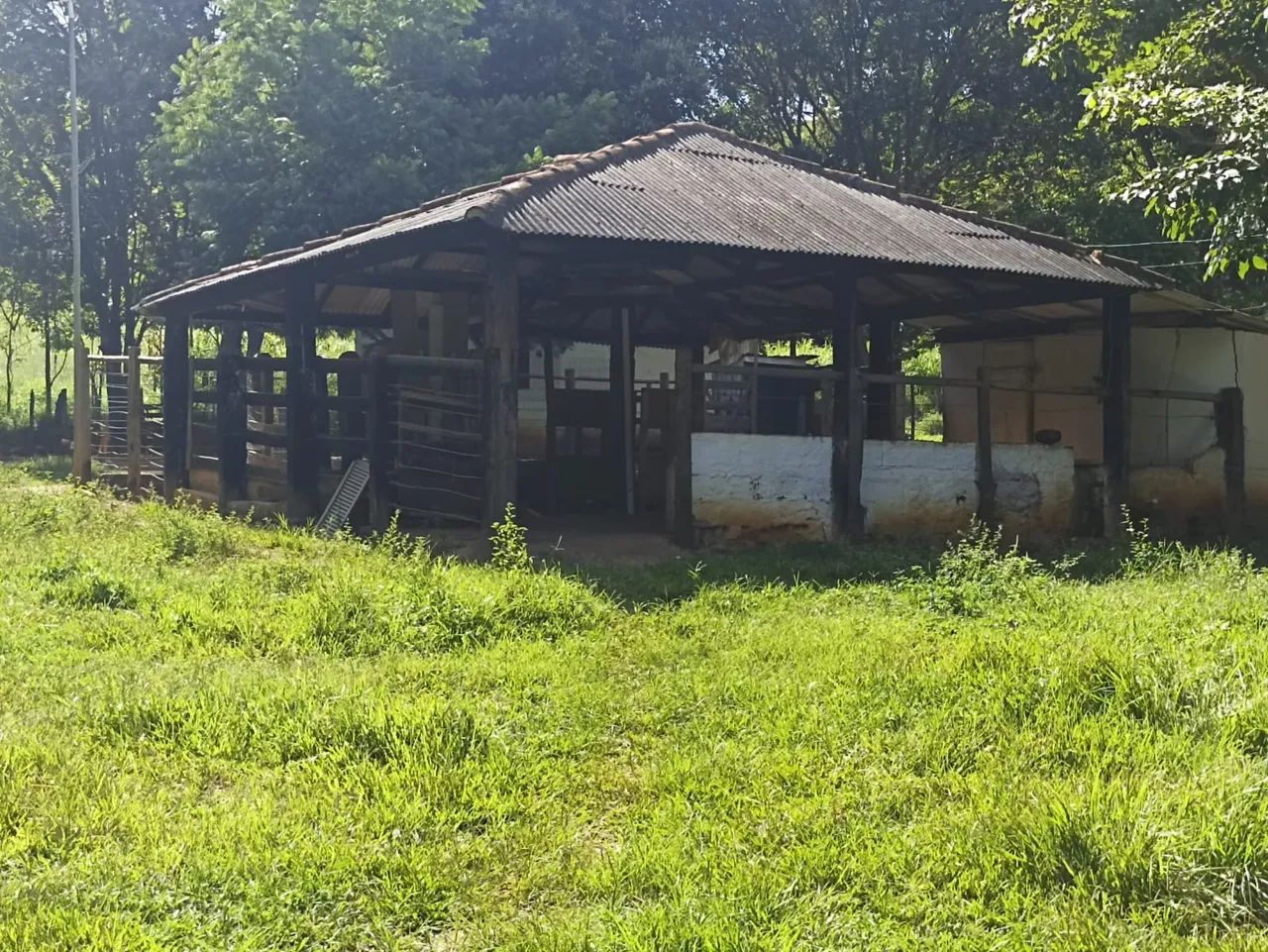 Sítio Alpercata 25.000m2 com casa - Foto 4