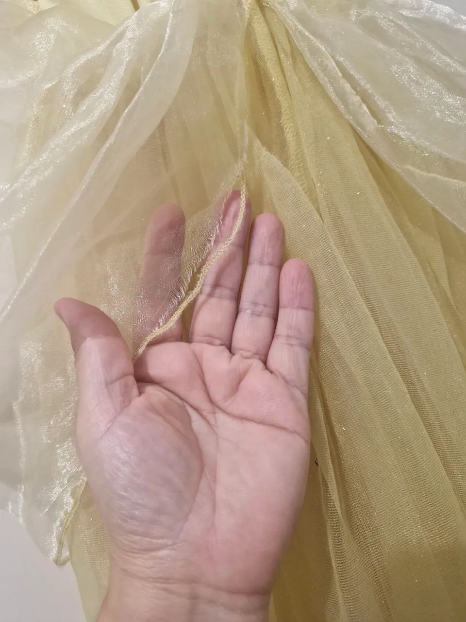 Fantasia Vestido Bela e a Fera - Foto 5