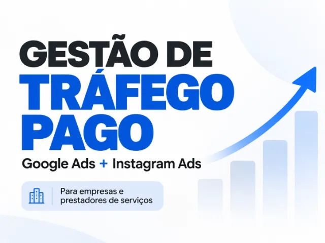 Gestor de Google Ads e Instagram Ads para Empresas
