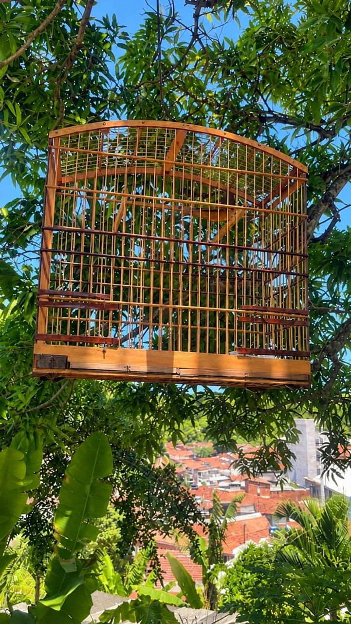 Gaiola 