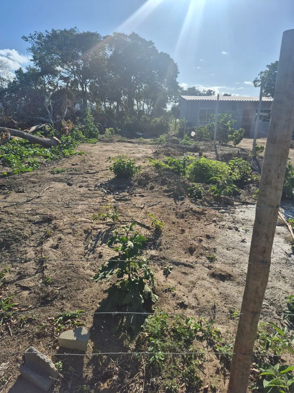 Oportunidade única e de curta duração.  - Foto 3
