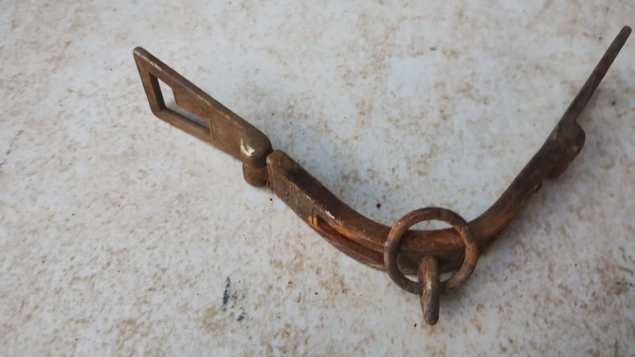 Cabeção alpaca usadas  - Foto 5