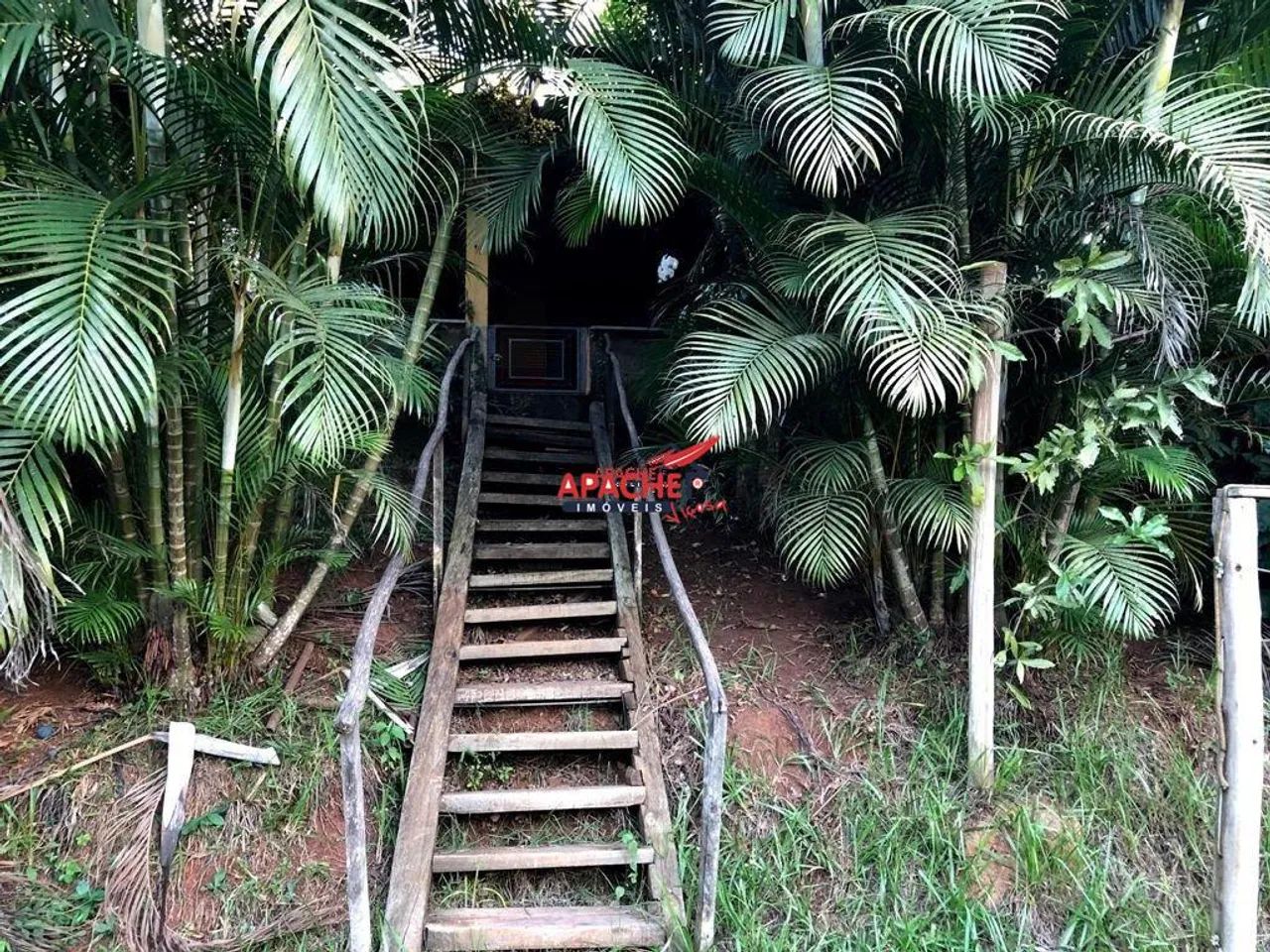 Sítio com casa, no São Venâncio, em Coimbra-MG. - Foto 3