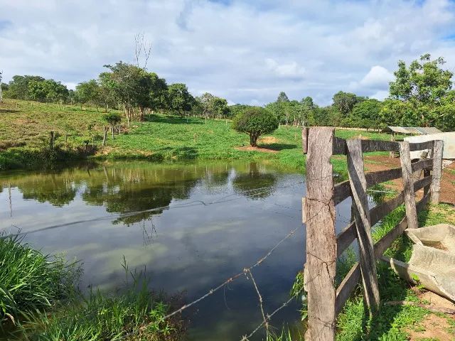 FAZENDA À VENDA - OPORTUNIDADE RARA - Foto 4