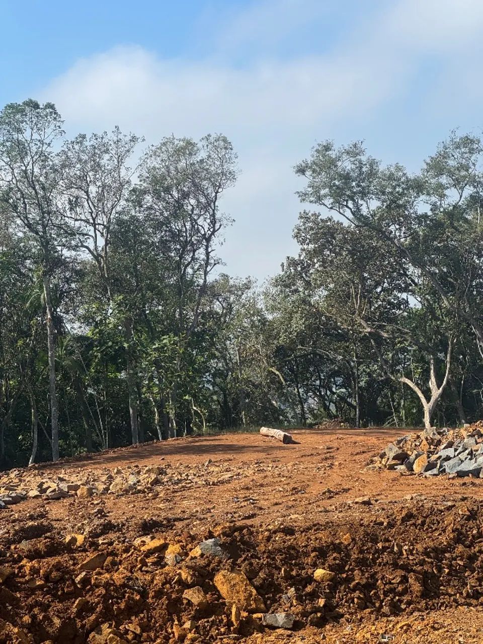 Terreno em Nova Veneza  - Foto 5