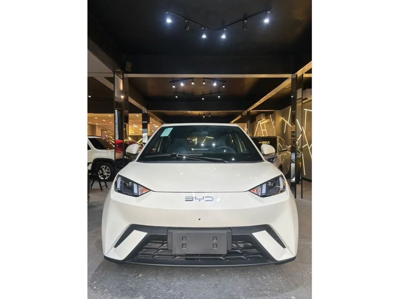 BYD Dolphin GS (Elétrico) 2027 - Foto 2