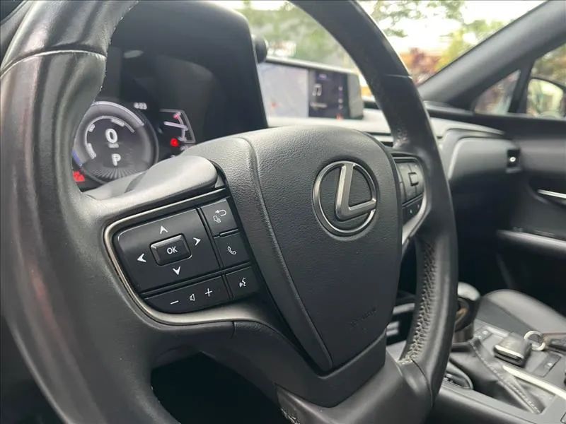 Lexus UX-250h Luxury 2.0 16V Aut.(hybrid), foto 10 de 13