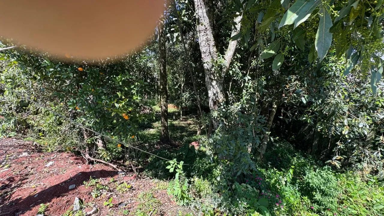 Terreno de 860m²  - Foto 2