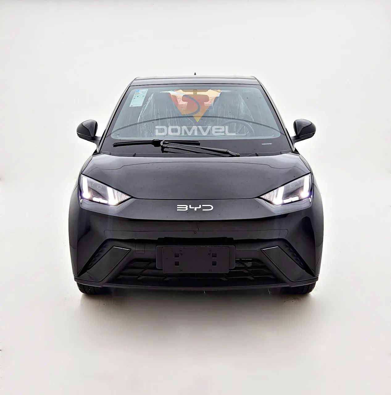 BYD Dolphin Mini (Elétrico) 2027 - Foto 2