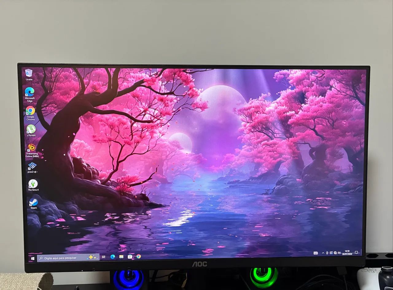 Monitor 