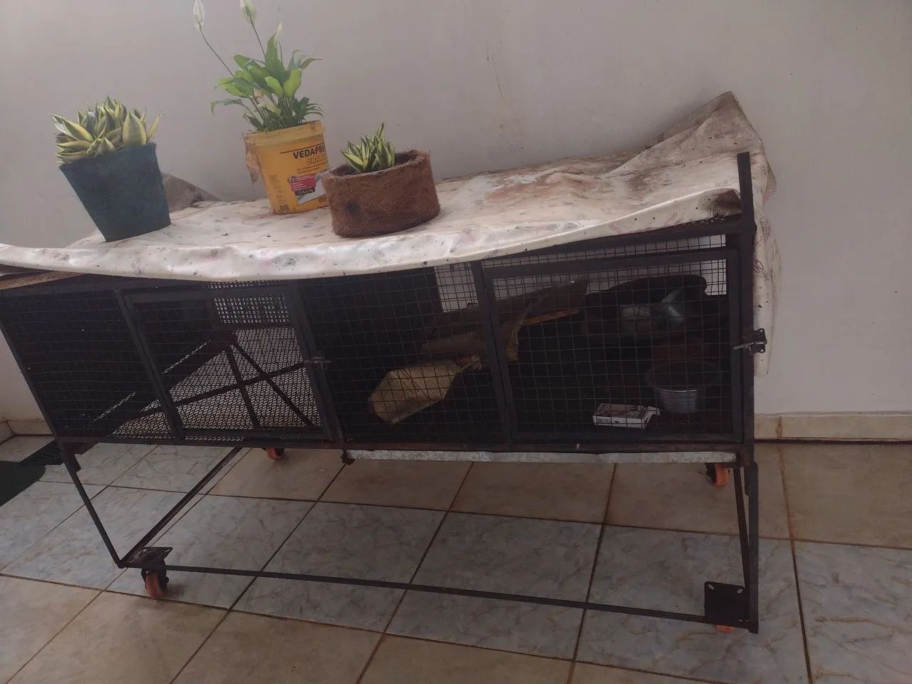 Gaiola 