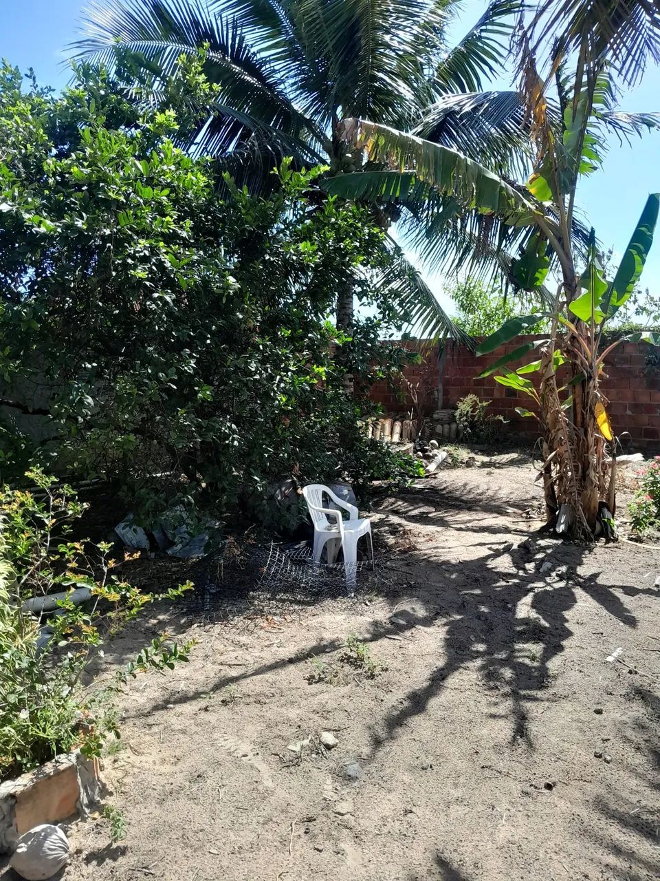 Chácara  - Foto 4