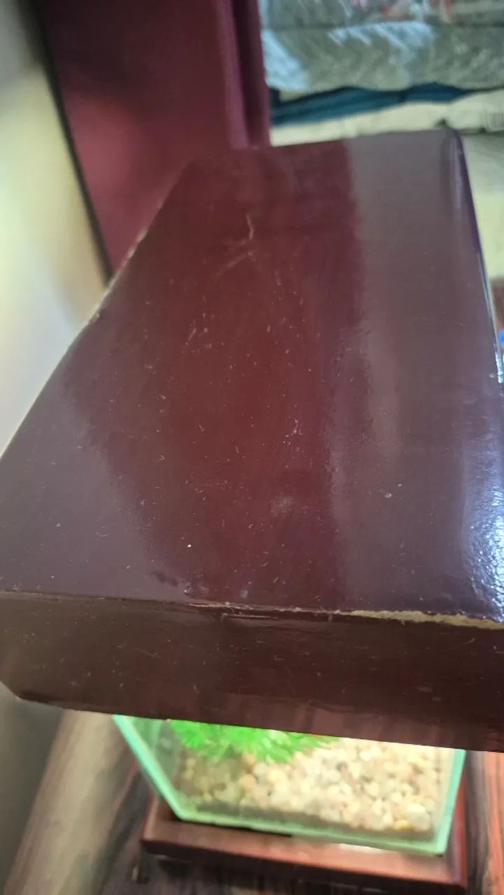Aquário para beta - Foto 4