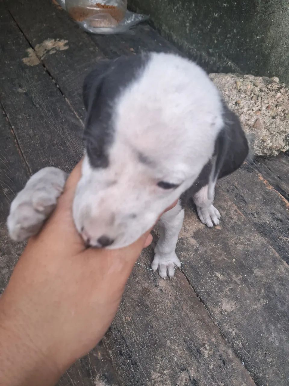 Doação  - Foto 3