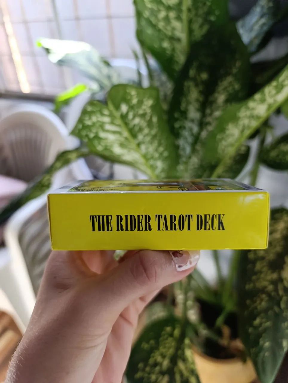 TARÔ 47 reais 
