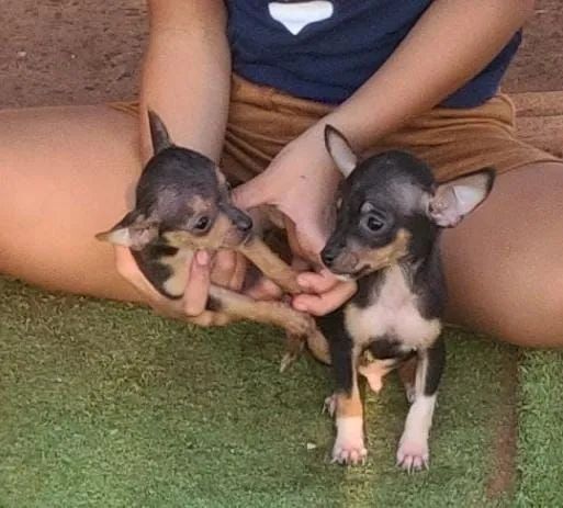 Vendo 0  - Foto 2