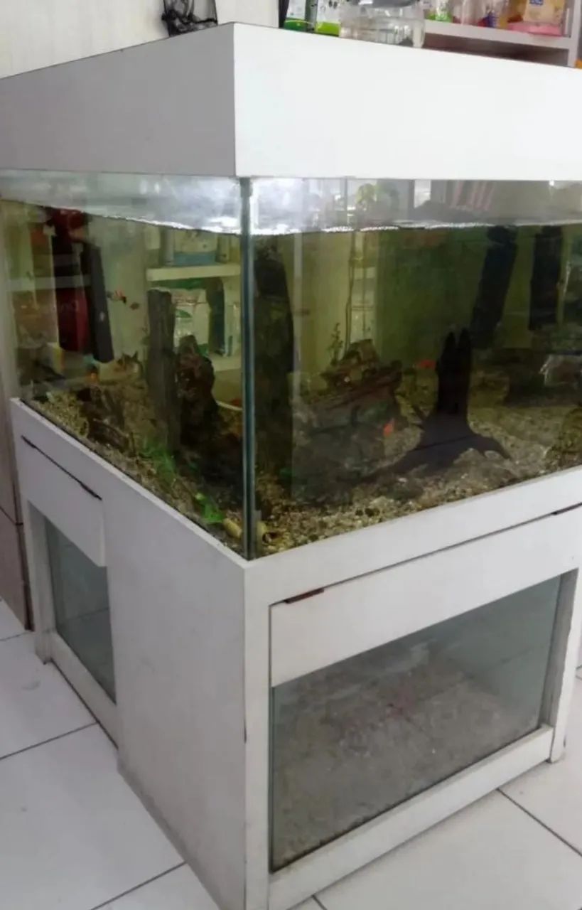 Aquário 340 litros 