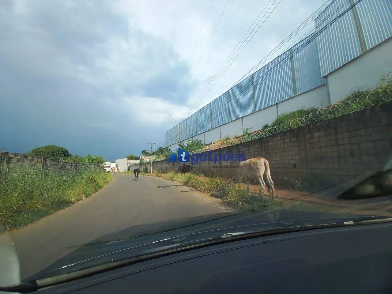 Galpão com 2000 m² em - Jardim Encantado - São José da Lapa/MG - Foto 3