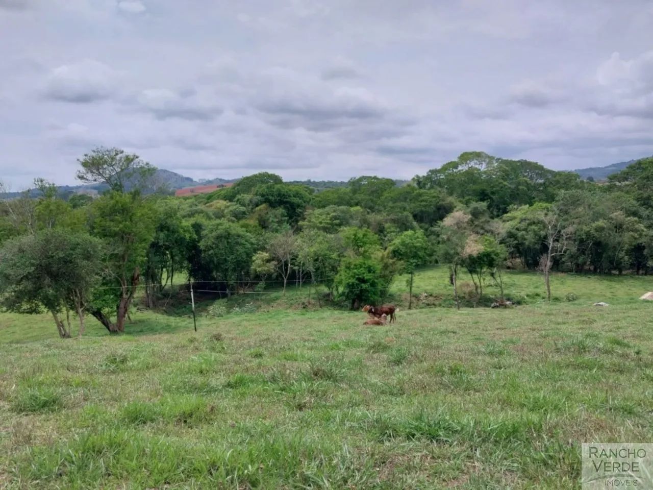 SÍTIO RURAL em PARAISÓPOLIS - MG, RURAL - Foto 5