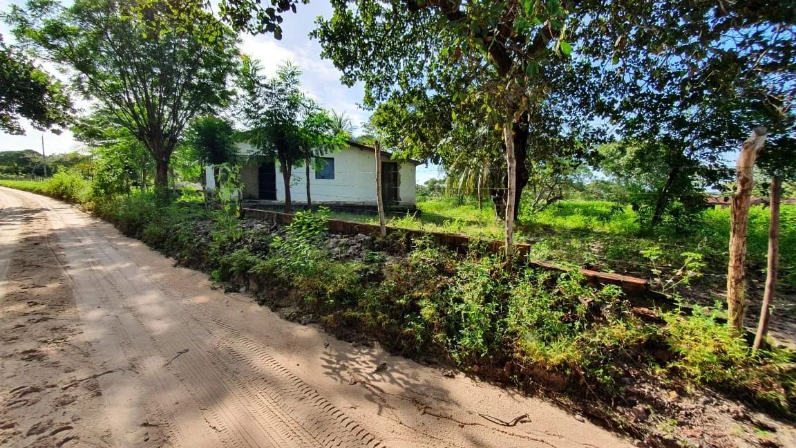 Terreno 12 hectares com açude  - Foto 4