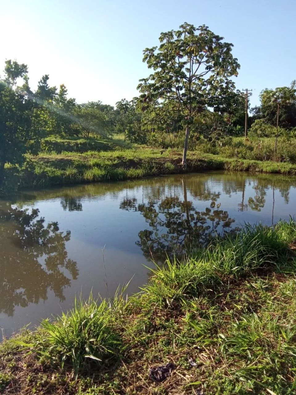  aluga chacara com 9 tanques pra criação de peixes - Foto 4