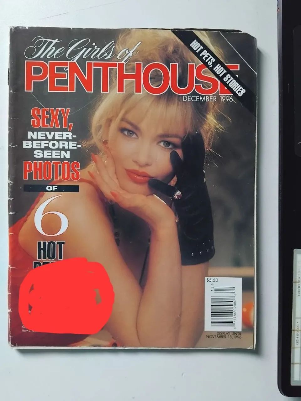 Penthouse 12 ( 1996)