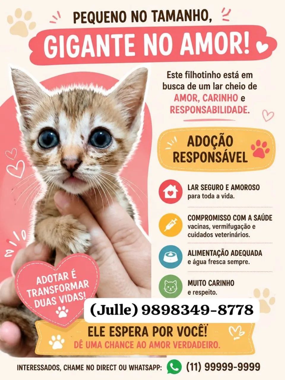 Adoção responsável 