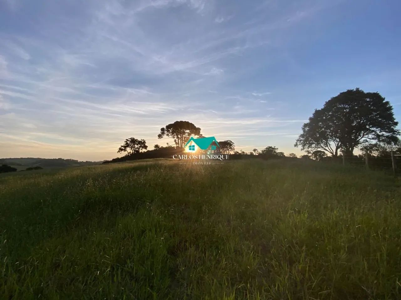 Terreno à Venda com 20000 m² - Foto 4