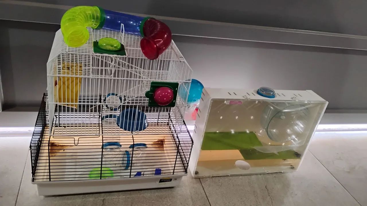 Casinha completa hamster usada 