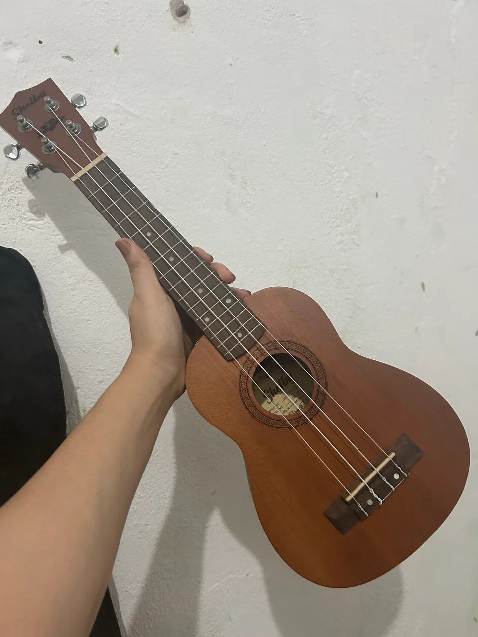 Ukulele 
