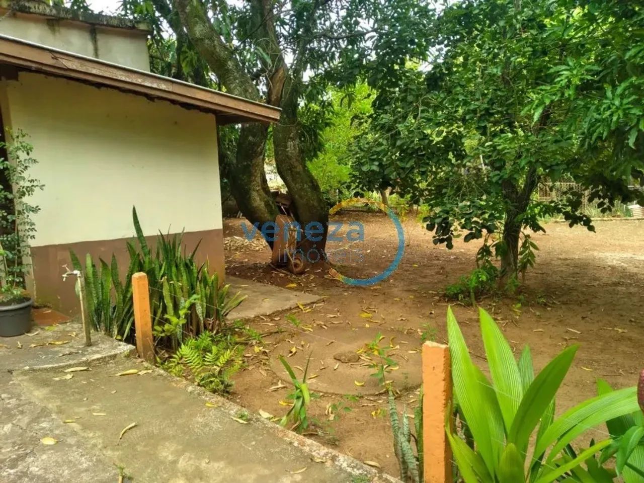 Chácara-Imóvel-Rural com 3 quartos à venda por R$ 750000.00, 2100.00 m2 - RURAL - JATAIZIN - Foto 2