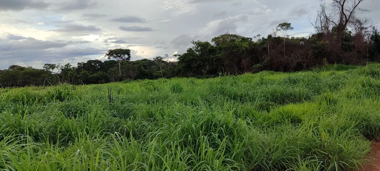 Chácara em Bela VISTA  - Foto 4
