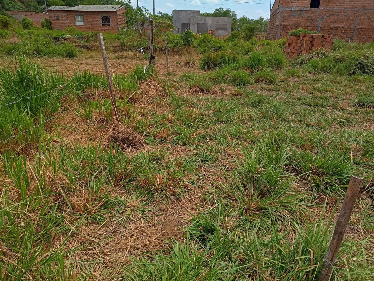 Terreno à venda  - Foto 3