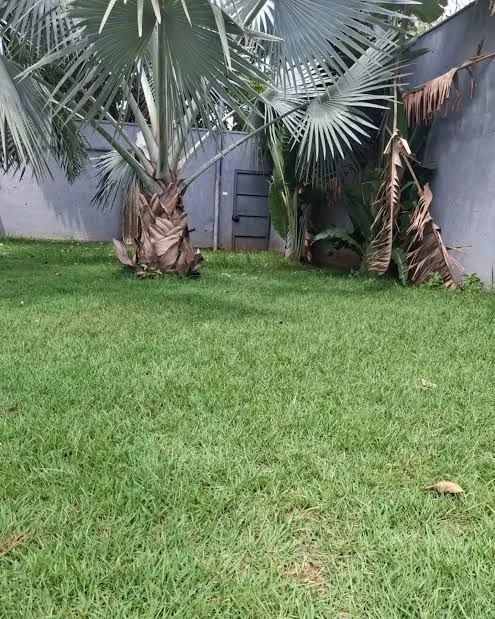 Capina e Roçagem mecanizada  - Foto 5