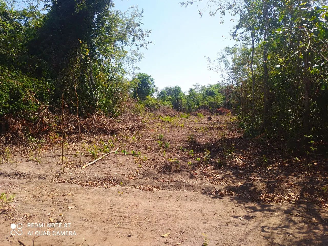 VENDO 5 LOTES SÍTIO NOVO TOCANTINS - Foto 4